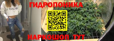 стафф Краснодар