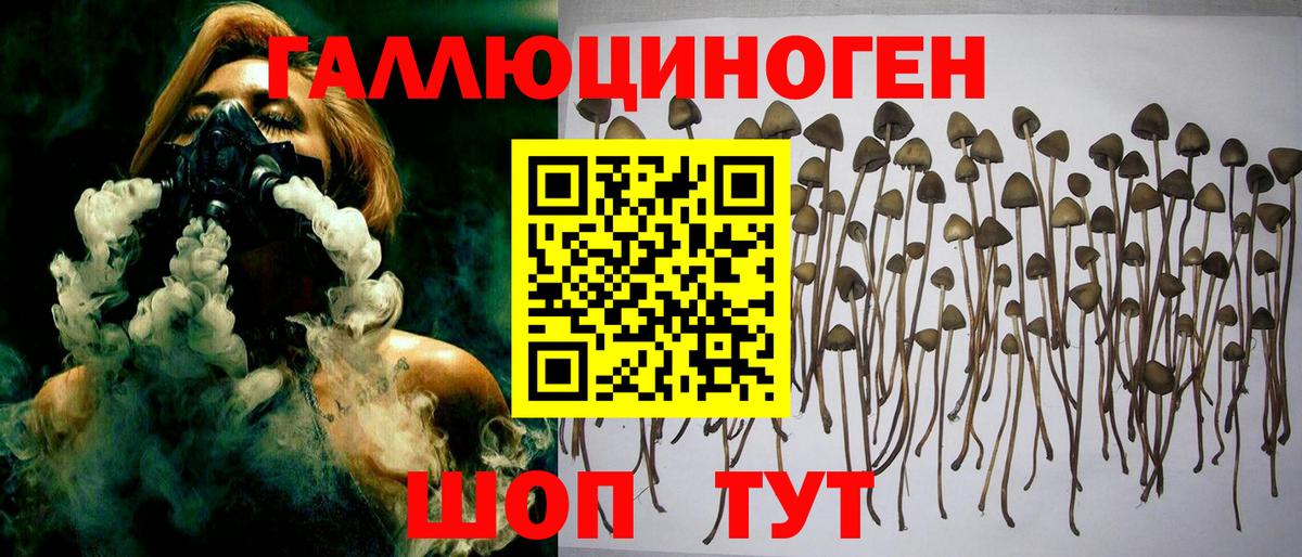 Галлюциногенные грибы ЛСД Краснодар
